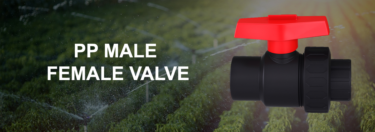 image slider